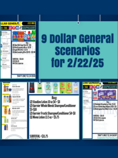 dg scenarios